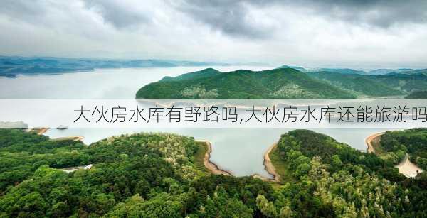 大伙房水库有野路吗,大伙房水库还能旅游吗