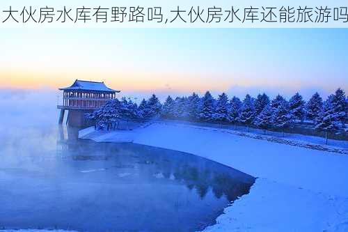 大伙房水库有野路吗,大伙房水库还能旅游吗