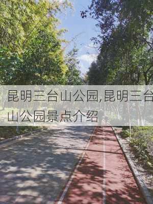 昆明三台山公园,昆明三台山公园景点介绍