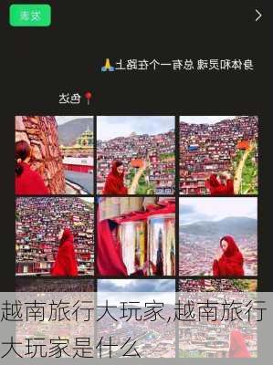 越南旅行大玩家,越南旅行大玩家是什么