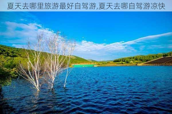 夏天去哪里旅游最好自驾游,夏天去哪自驾游凉快