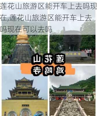 莲花山旅游区能开车上去吗现在,莲花山旅游区能开车上去吗现在可以去吗