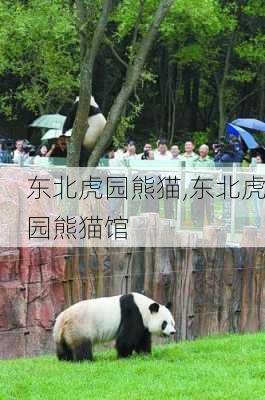 东北虎园熊猫,东北虎园熊猫馆