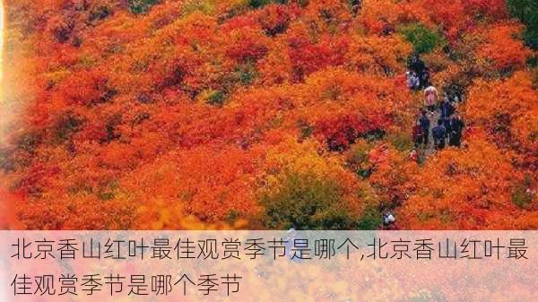 北京香山红叶最佳观赏季节是哪个,北京香山红叶最佳观赏季节是哪个季节