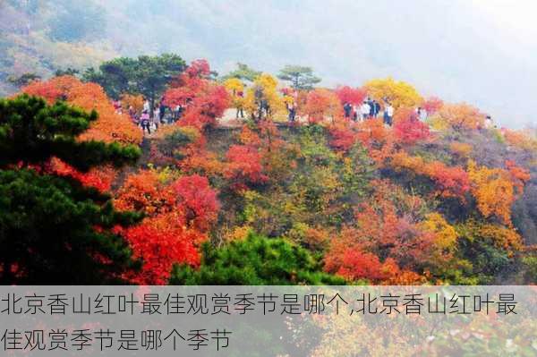 北京香山红叶最佳观赏季节是哪个,北京香山红叶最佳观赏季节是哪个季节