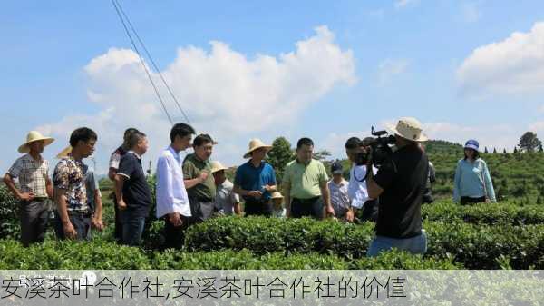 安溪茶叶合作社,安溪茶叶合作社的价值