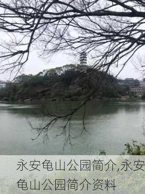 永安龟山公园简介,永安龟山公园简介资料