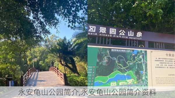 永安龟山公园简介,永安龟山公园简介资料