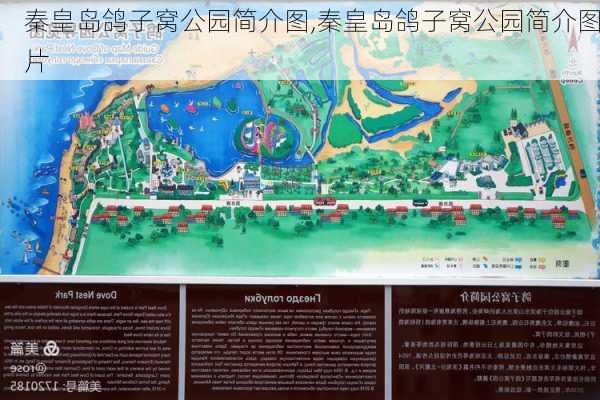 秦皇岛鸽子窝公园简介图,秦皇岛鸽子窝公园简介图片