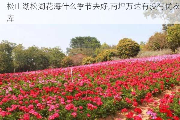 松山湖松湖花海什么季节去好,南坪万达有没有优衣库