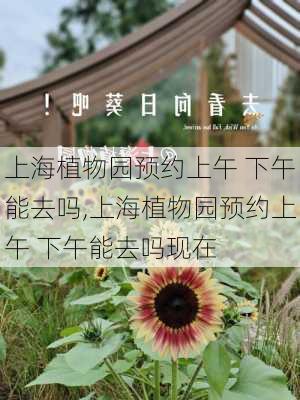 上海植物园预约上午 下午能去吗,上海植物园预约上午 下午能去吗现在