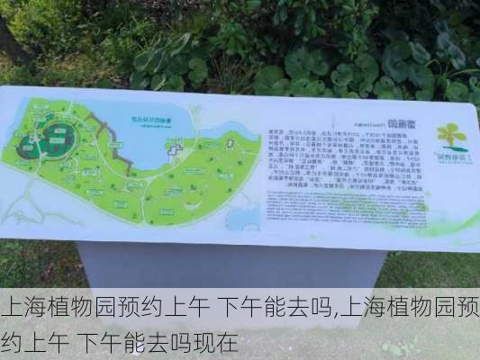 上海植物园预约上午 下午能去吗,上海植物园预约上午 下午能去吗现在