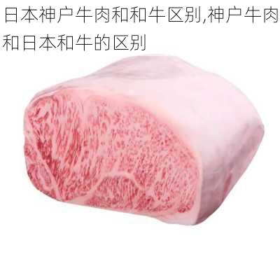 日本神户牛肉和和牛区别,神户牛肉和日本和牛的区别