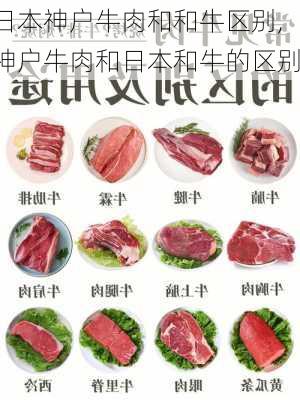 日本神户牛肉和和牛区别,神户牛肉和日本和牛的区别