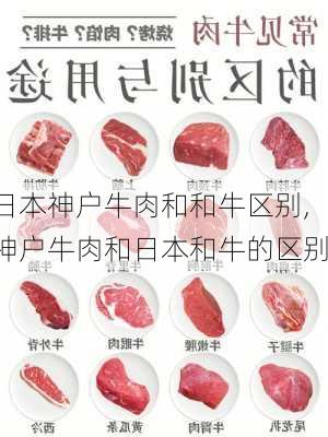 日本神户牛肉和和牛区别,神户牛肉和日本和牛的区别