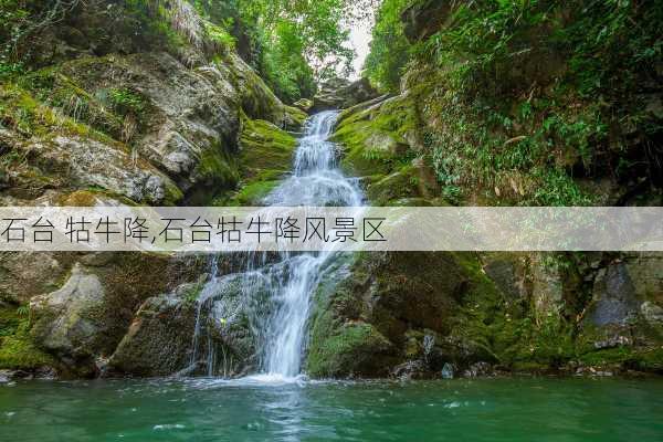 石台 牯牛降,石台牯牛降风景区