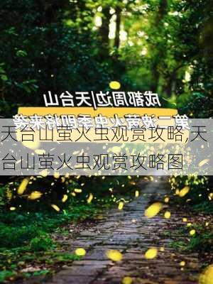 天台山萤火虫观赏攻略,天台山萤火虫观赏攻略图