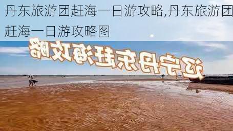 丹东旅游团赶海一日游攻略,丹东旅游团赶海一日游攻略图