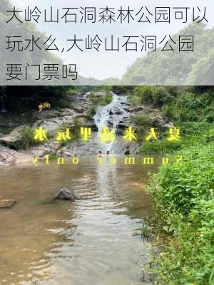 大岭山石洞森林公园可以玩水么,大岭山石洞公园要门票吗