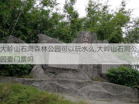 大岭山石洞森林公园可以玩水么,大岭山石洞公园要门票吗