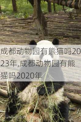 成都动物园有熊猫吗2023年,成都动物园有熊猫吗2020年