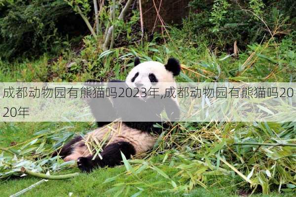 成都动物园有熊猫吗2023年,成都动物园有熊猫吗2020年