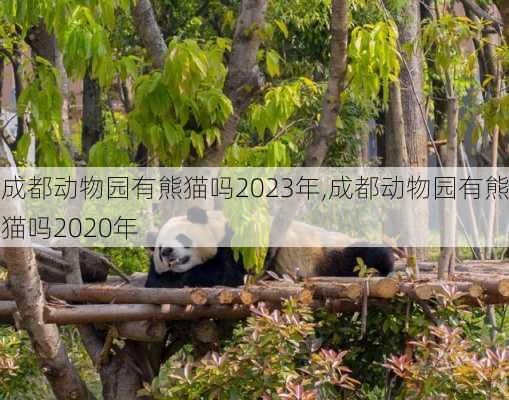 成都动物园有熊猫吗2023年,成都动物园有熊猫吗2020年