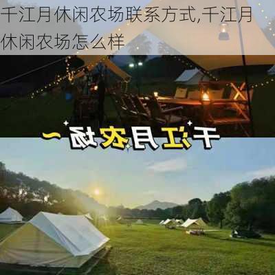 千江月休闲农场联系方式,千江月休闲农场怎么样