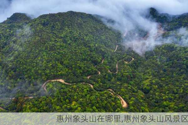 惠州象头山在哪里,惠州象头山风景区