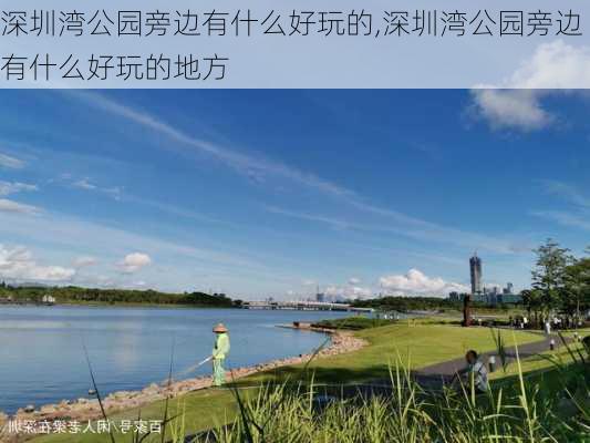 深圳湾公园旁边有什么好玩的,深圳湾公园旁边有什么好玩的地方