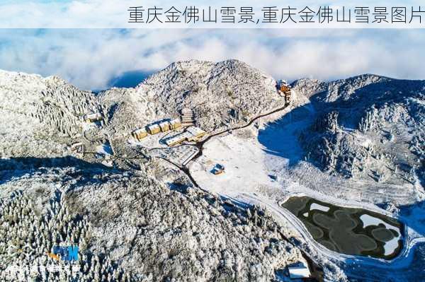 重庆金佛山雪景,重庆金佛山雪景图片