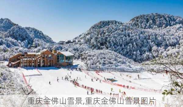 重庆金佛山雪景,重庆金佛山雪景图片