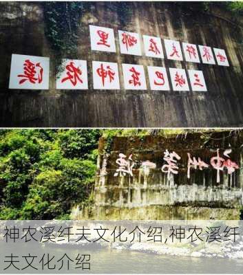 神农溪纤夫文化介绍,神农溪纤夫文化介绍