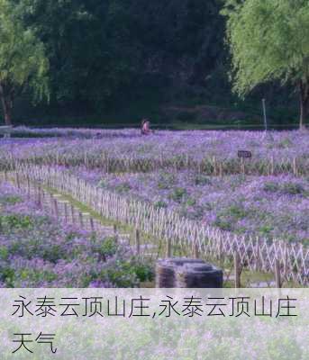 永泰云顶山庄,永泰云顶山庄天气