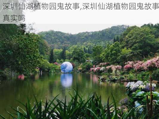 深圳仙湖植物园鬼故事,深圳仙湖植物园鬼故事真实吗