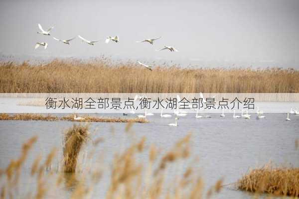 衡水湖全部景点,衡水湖全部景点介绍