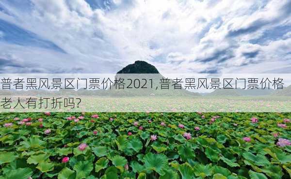 普者黑风景区门票价格2021,普者黑风景区门票价格老人有打折吗?