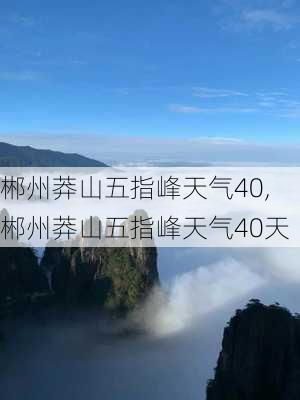 郴州莽山五指峰天气40,郴州莽山五指峰天气40天