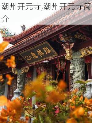 潮州开元寺,潮州开元寺简介