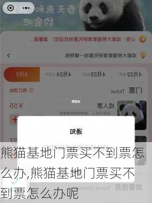 熊猫基地门票买不到票怎么办,熊猫基地门票买不到票怎么办呢