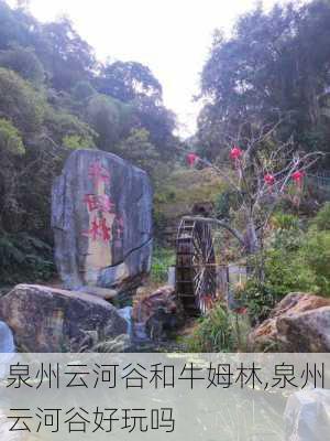 泉州云河谷和牛姆林,泉州云河谷好玩吗