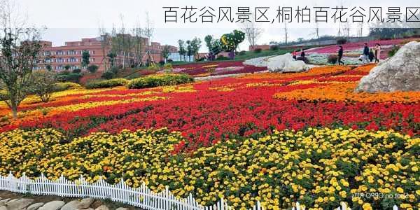 百花谷风景区,桐柏百花谷风景区