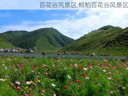 百花谷风景区,桐柏百花谷风景区