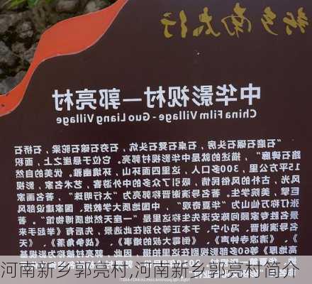 河南新乡郭亮村,河南新乡郭亮村简介