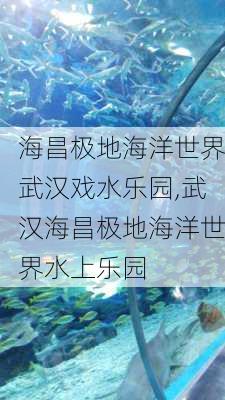 海昌极地海洋世界武汉戏水乐园,武汉海昌极地海洋世界水上乐园