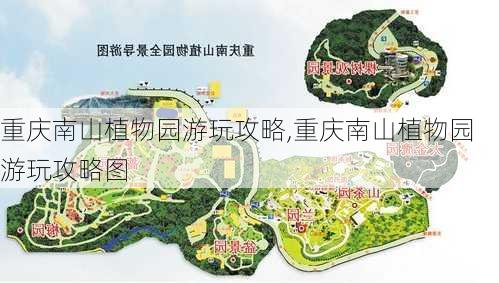 重庆南山植物园游玩攻略,重庆南山植物园游玩攻略图