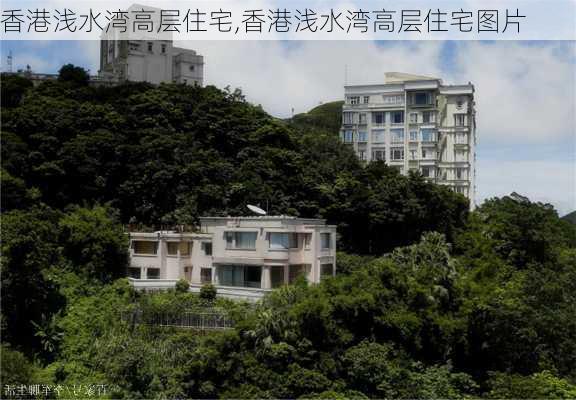 香港浅水湾高层住宅,香港浅水湾高层住宅图片