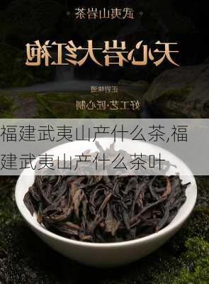 福建武夷山产什么茶,福建武夷山产什么茶叶