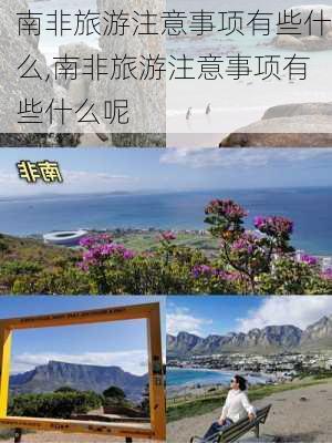 南非旅游注意事项有些什么,南非旅游注意事项有些什么呢