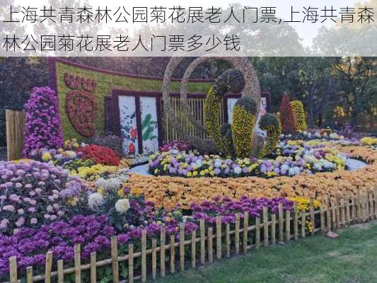 上海共青森林公园菊花展老人门票,上海共青森林公园菊花展老人门票多少钱